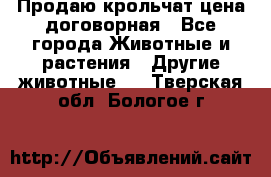 Продаю крольчат цена договорная - Все города Животные и растения » Другие животные   . Тверская обл.,Бологое г.